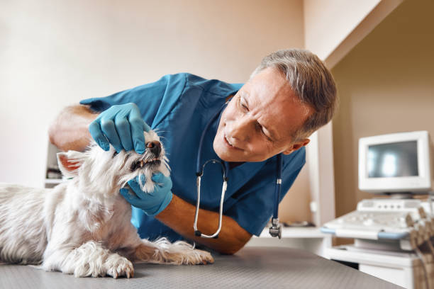 Best Emergency Dentist for Knocked-Out Tooth in Tenafly, NJ